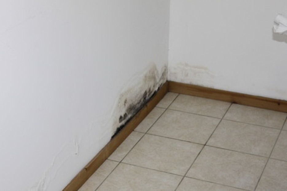 7. Le Grand Bornand : Humidité intérieur sur chalet individuel 7. Le Grand Bornand : Humidité intérieur sur chalet individuel